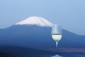 甲州ワインと富士山