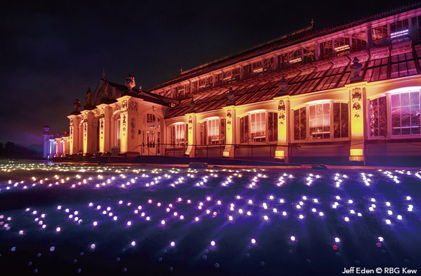 Christmas at Kew