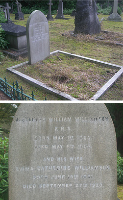 ウィリアムソン教授の墓